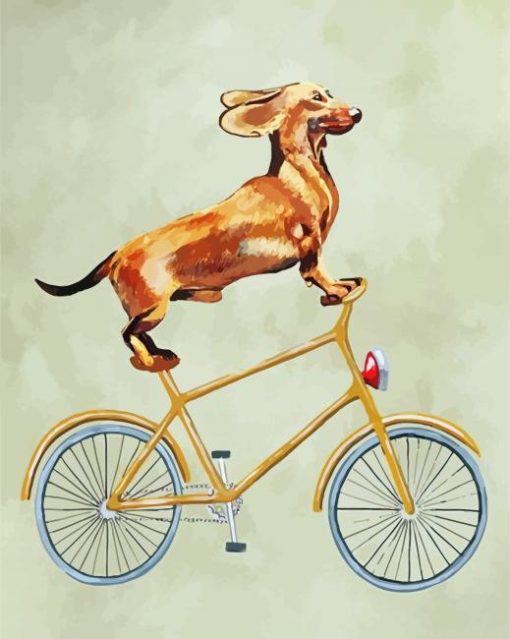 Cyclist Dachshund Paint By Number