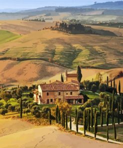 The Cypress Trees Tuscany Paint By Number