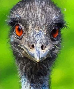 Emu Birds Head Paint By Number