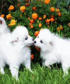 Eskimo Puppies Paint By Number