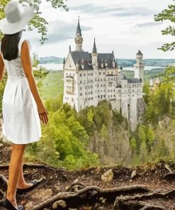 Follow Me To Neuschwanstein Castle In Bavaria Paint By Number