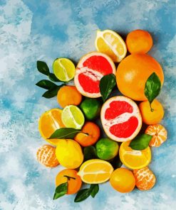 Fresh Citrus Fruit Paint By Number