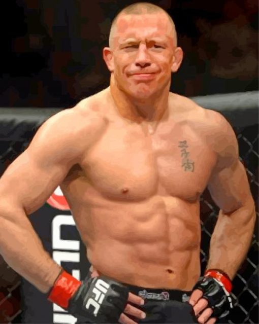 Georges St Pierre Fighter Paint By Number