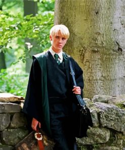 Harry Potter Draco Malfoy Paint By Number