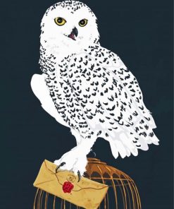 Harry Potter Hedwig Paint By Number