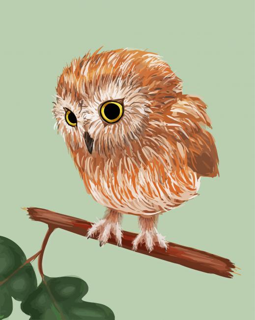 Hedwig Owl Bird Harry Potter Paint By Numbers 