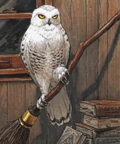 Hedwig Owl Bird Harry Potter Paint By Numbers 