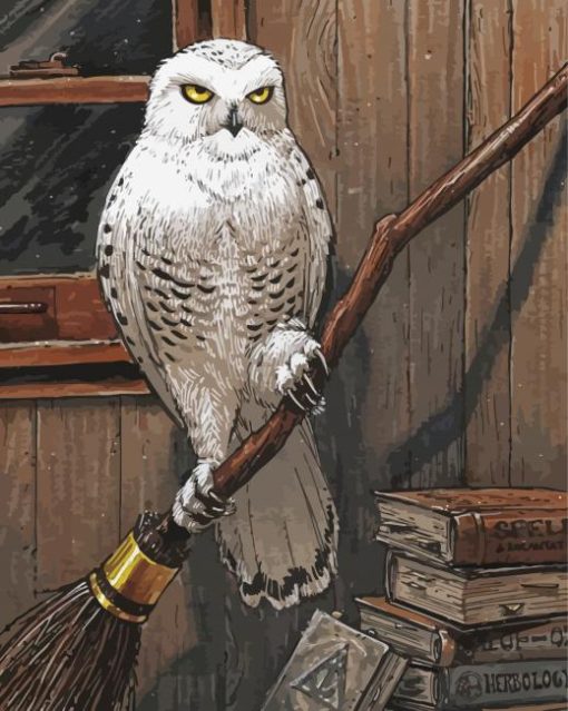Hedwig Owl Paint By Number