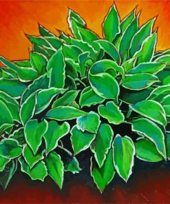 Hosta Plants Art Paint By Number