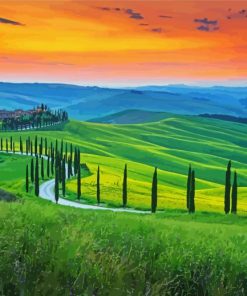 Italy Tuscany Cypress Trees Paint By Number