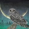 Moonlight Owl Paint By Number