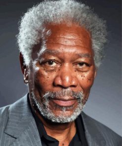 Morgan Freeman Paint By Number