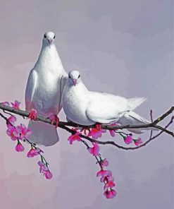 Pigeon Dove Paint By Number