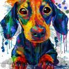 Splatter Dachshund Paint By Number