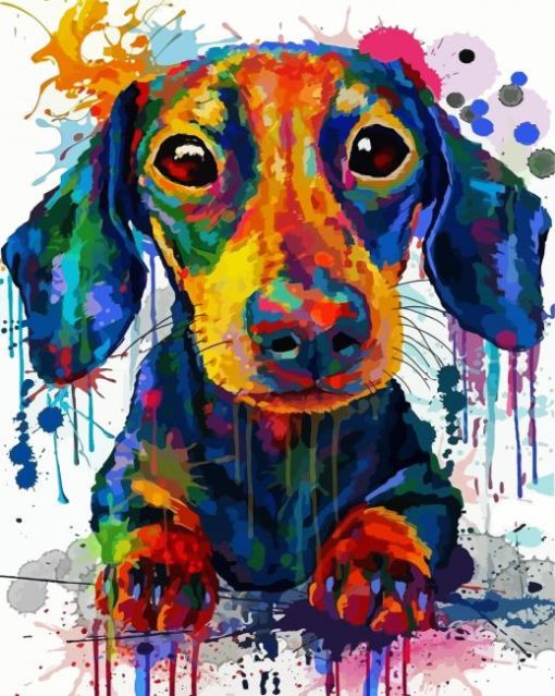 Splatter Dachshund Paint By Number