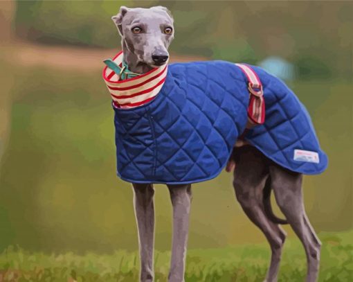 Whippet Dog Paint By Number