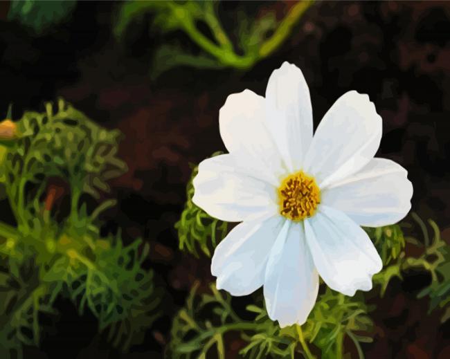 White Daisy Flower Paint By Number