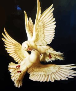 White Doves Birds Paint By Number