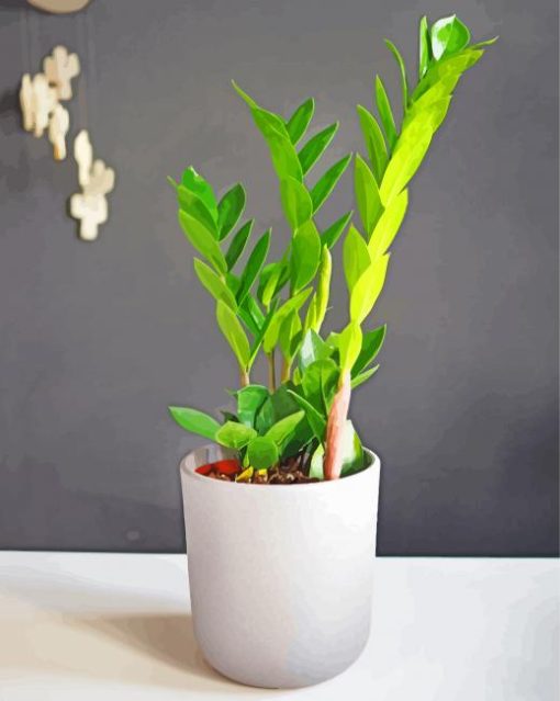 Green Zamioculcas Paint By Number