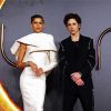 Zendaya And Timothe Chalamet Paint By Number