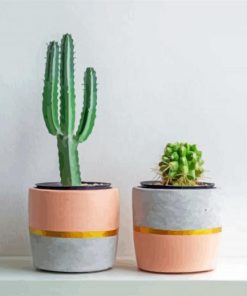 Aesthetic Cactus Pots Paint By Number