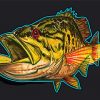 Aesthetic Smallmouth Illustration Paint By Number