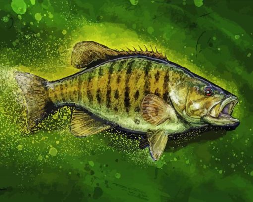 Aesthetic Smallmouth Paint By Number