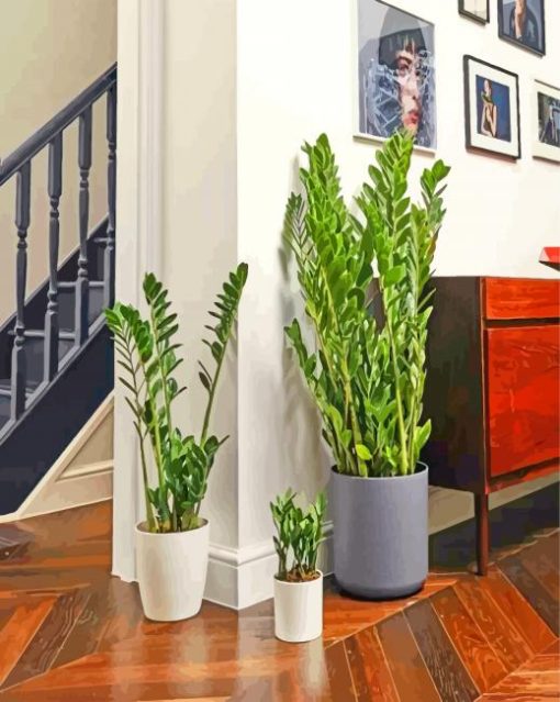 Aesthetic Zamioculcas Plants Paint By Number