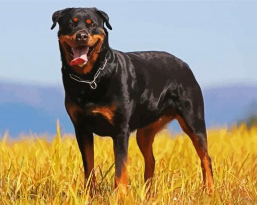 Aesthetic Black Rottweiler Paint By Number