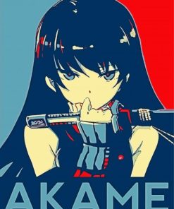 Ga Kill Akame Paint By Number