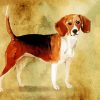 Beagle Dog Art Paint By Number