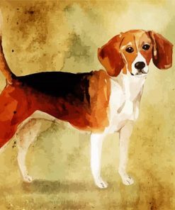 Beagle Dog Art Paint By Number