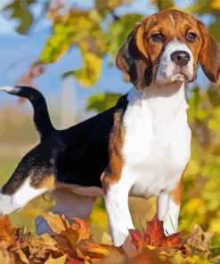 Beagle Dog Fall Leaves Paint By Number