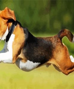Beagle Running Paint By Number