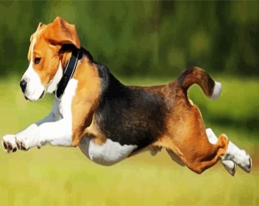 Beagle Running Paint By Number