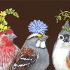 Birds With Hats Paint By Number