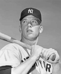 Black And White Mickey Mantle Paint By Number