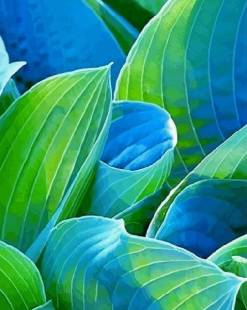 Blue And Green Hosta plant Paint By Number