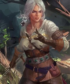 Ciri Witcher Illustration Paint By Number