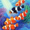 Clownfish Family Paint By Number