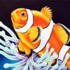 Aesthetic Clownfish Paint By Number