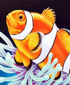 Aesthetic Clownfish Paint By Number