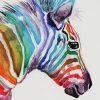 Colorful Zeebras Paint By Number