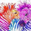 Colorful Zeebras Art Paint By Number