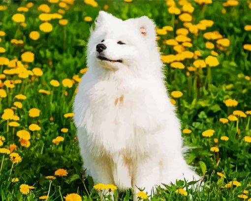 Cute Samoyed Paint By Number