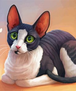 Cute Cat With Big Ears Paint By Numbe