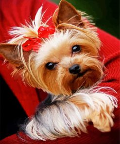 Cute Yorkie Paint By Number