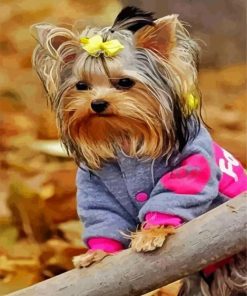 Cute Yorkie Puppy Paint By Number