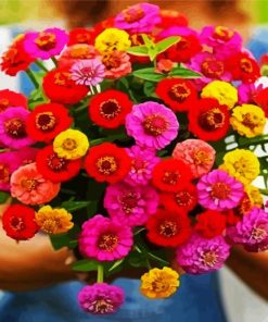 Cute Zinnias Paint By Number