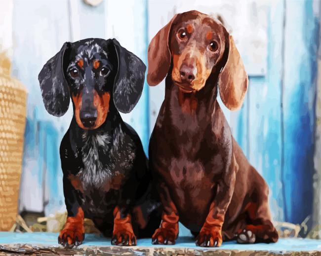 Dachshunds Puppies Paint By Number